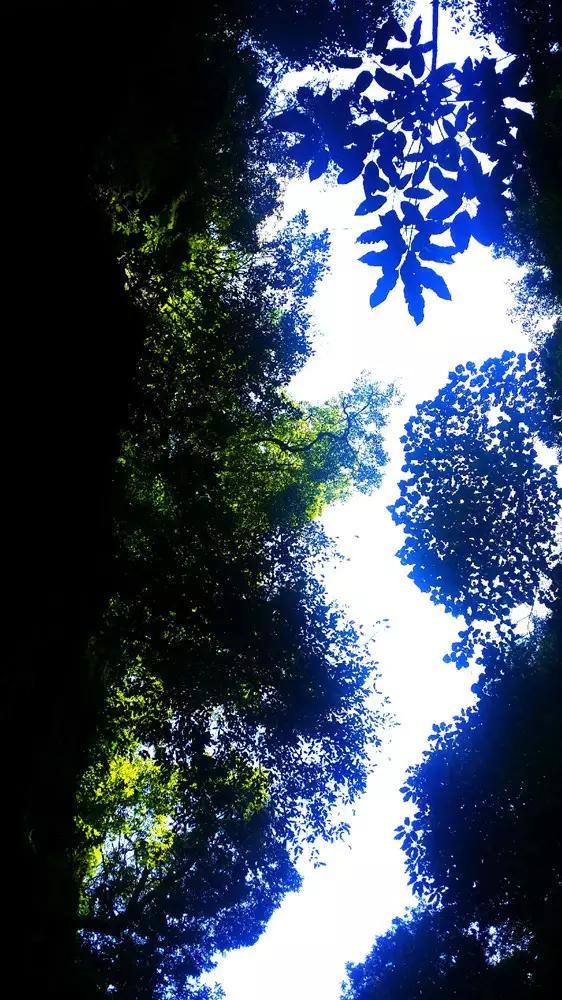 孝庄才貌双全，为何却在皇太极的“五宫后妃”中，她的等级最低？